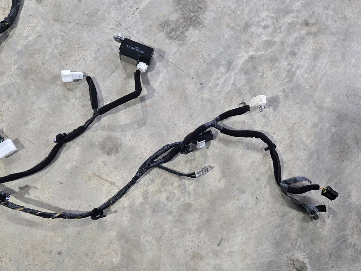 2015 2018 Kia Sedona Rear Tail Gate Lift Gate Wire Wiring Harness OEM 91680A9030