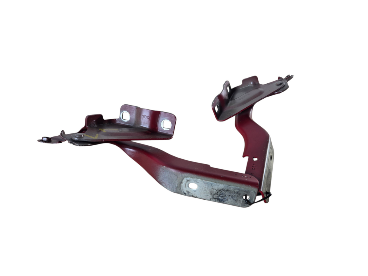 2013-2019 Nissan Sentra Left Right Front Hood Bonnet Hinge Hinges OEM 15367