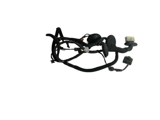 2012-2014 Hyundai Genesis Left Rear Door Wiring Harness Driver Side OEM 14551