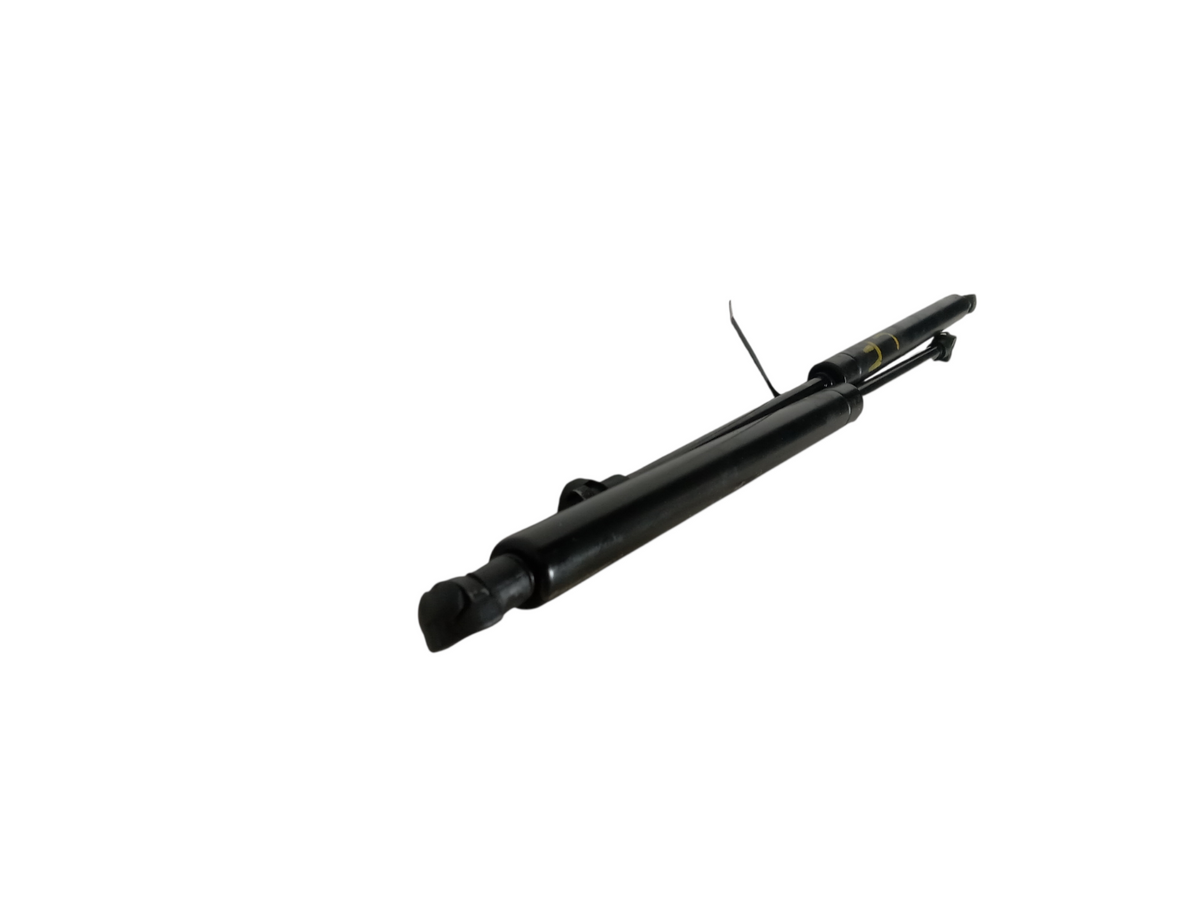 1999 2003 Lexus RX RX300 Left Driver Right Passenger Hood Bonnet Lift Support OE