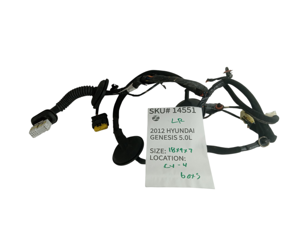 2012-2014 Hyundai Genesis Left Rear Door Wiring Harness Driver Side OEM 14551