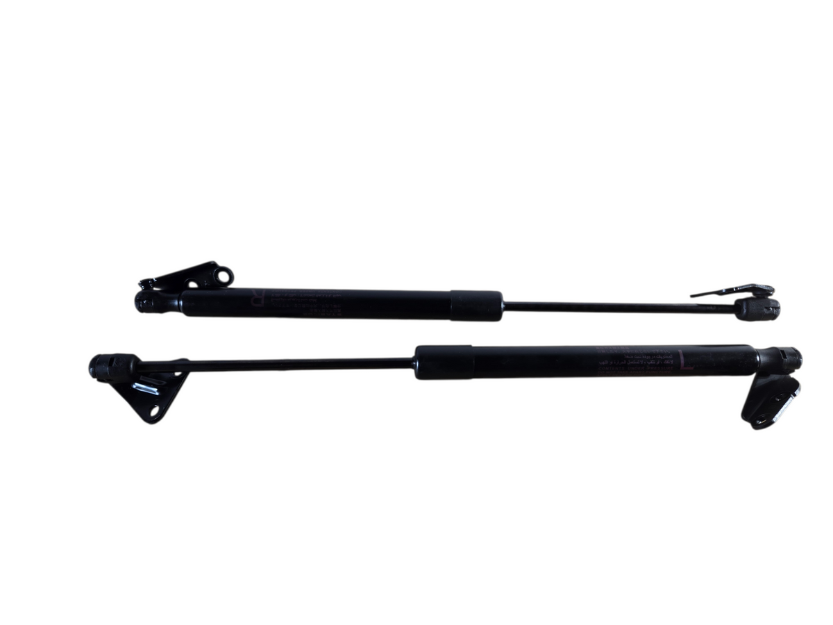 2008 2014 Infiniti EX EX35 QX50 Left Right Rear Lift Gate Lift Support Strut OEM